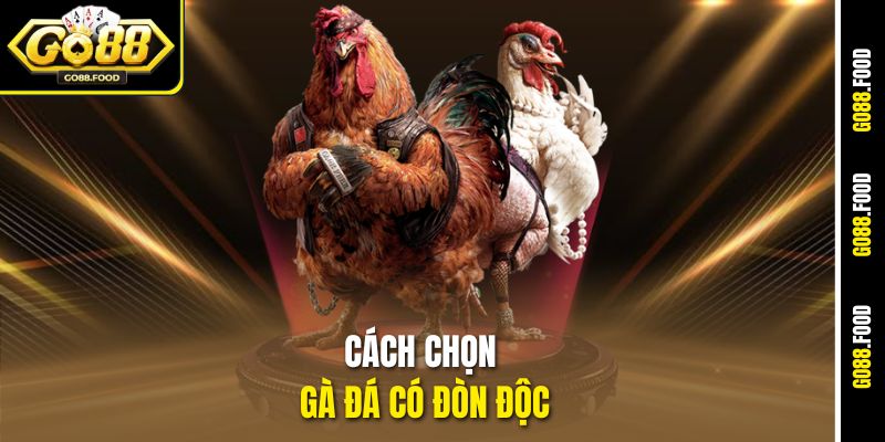 Cách Chọn Gà Đá Có Đòn Độc