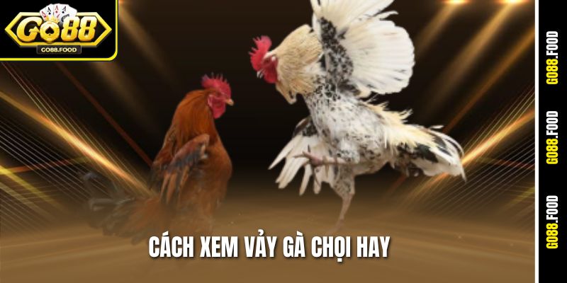 Cách Xem Vảy Gà Chọi Hay Tại Go88 – Chọn Thần Kê Chiến Đấu